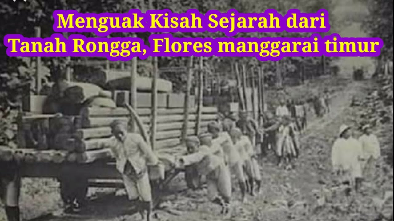 Menguak Kisah Sejarah dari Tanah Rongga, Flores, manggari.