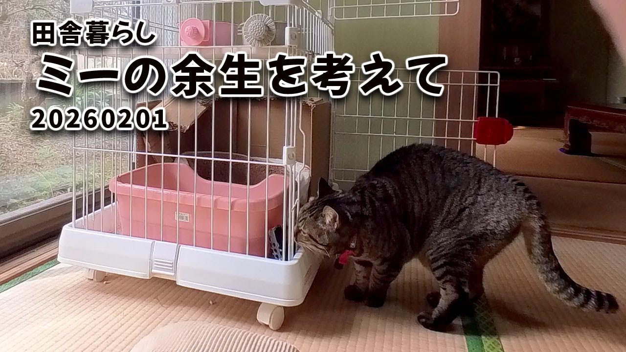 田舎暮らし　ミーの余生を考えて20260201