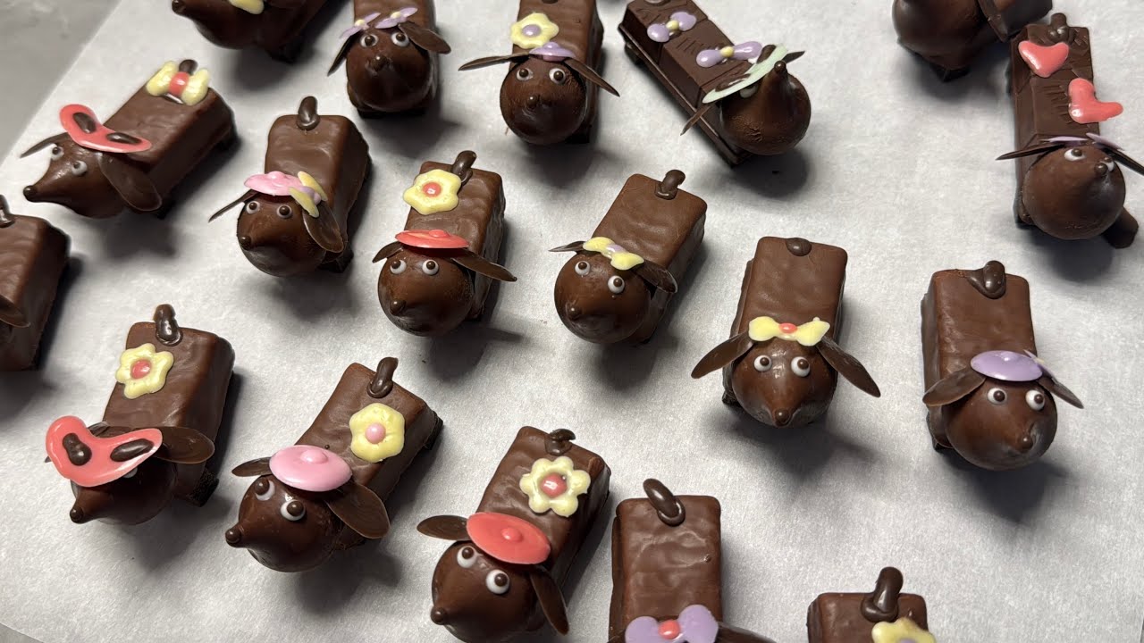 VALENTINE’S DAY🍫 닥스훈트 20마리