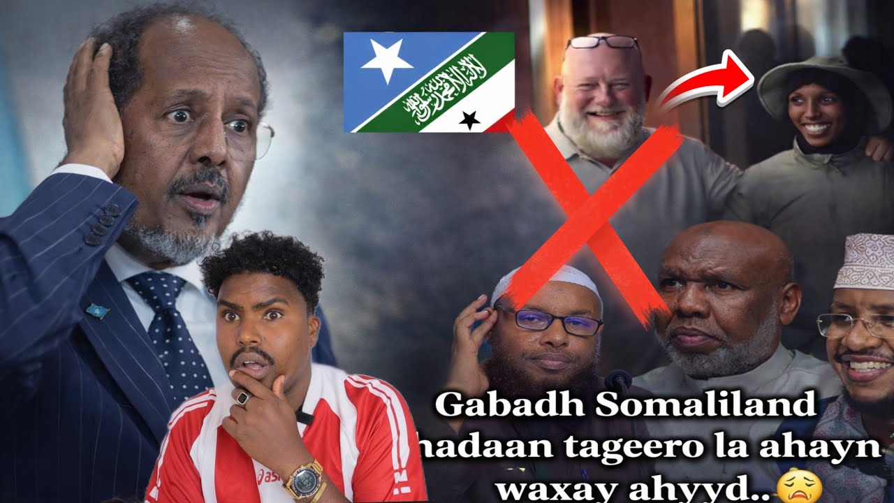 FASAHAAD KA AQOONSIGA SOMALILAND MIYUU QABTAA MISE SOMALIA MEEYE CULIMADII SOMALIA HABLIHI WEY…DAAWO