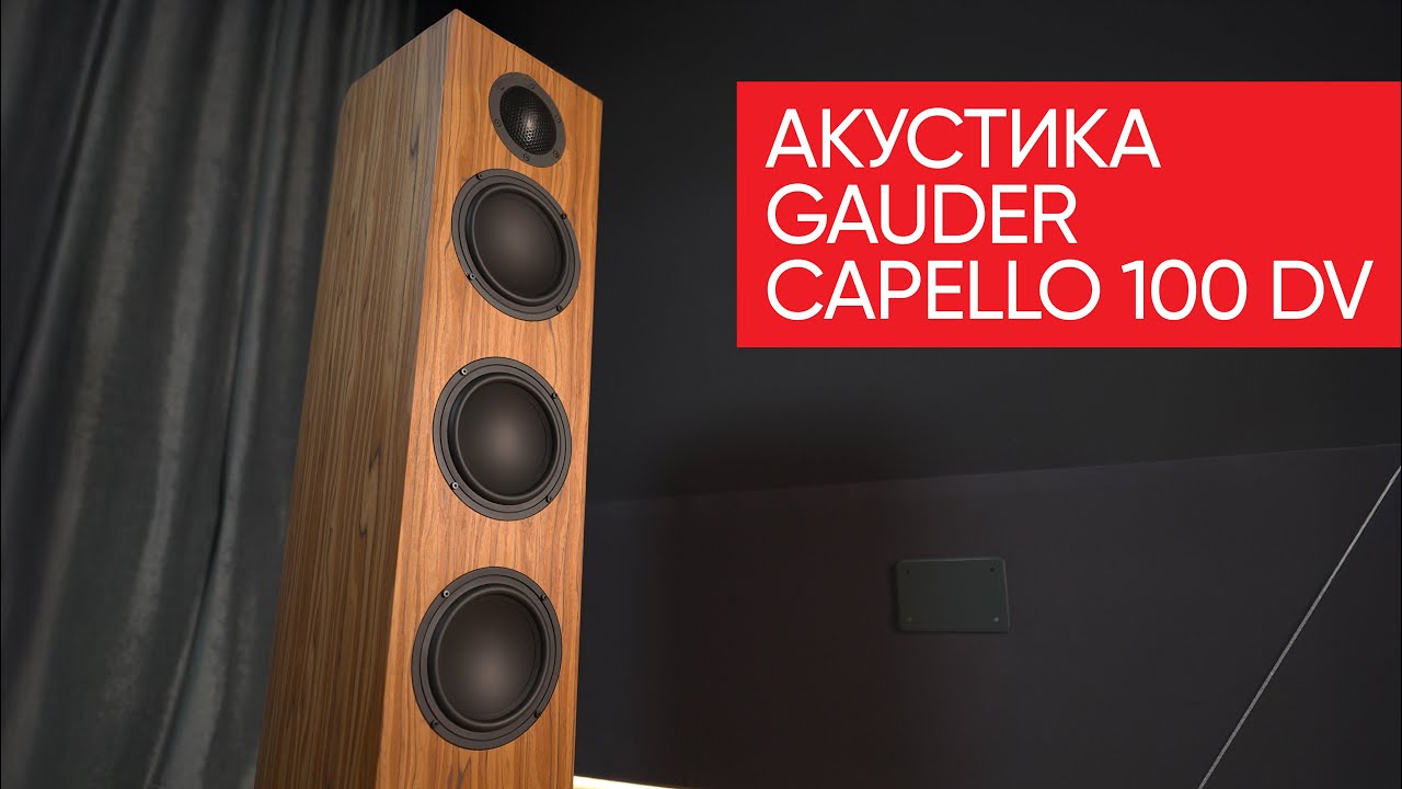 Акустика Gauder Capello 100 DV, или сколько миллионов нужно чтобы расслушать старый Пионер?