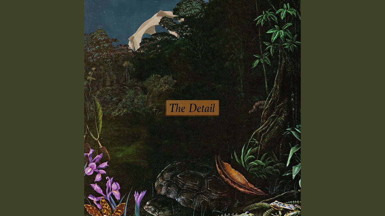 The Detail