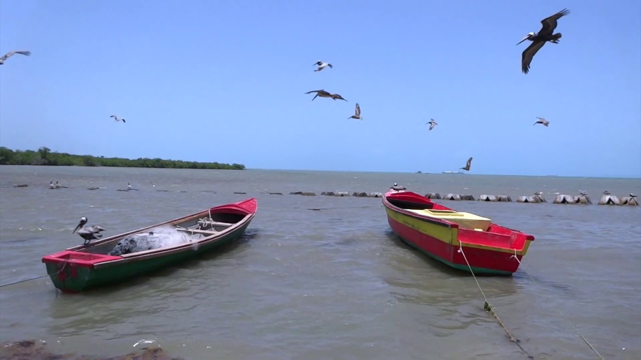 JAMAICA part 2
