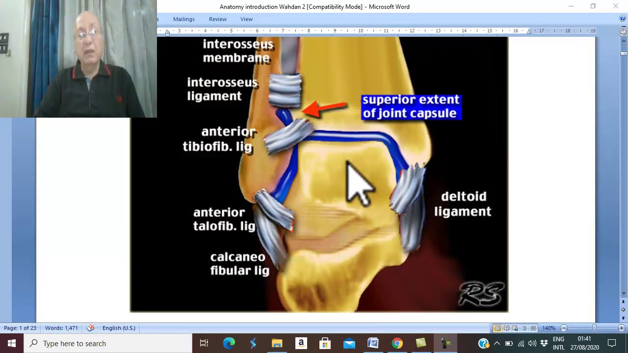 Introduction to anatomy in Arabic 9 (Joints , part 1 ) , by Dr. Wahdan .