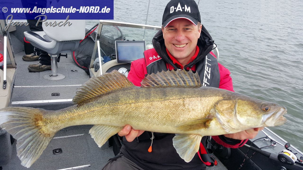 Zander & Hechte Angeln im Schweriner See