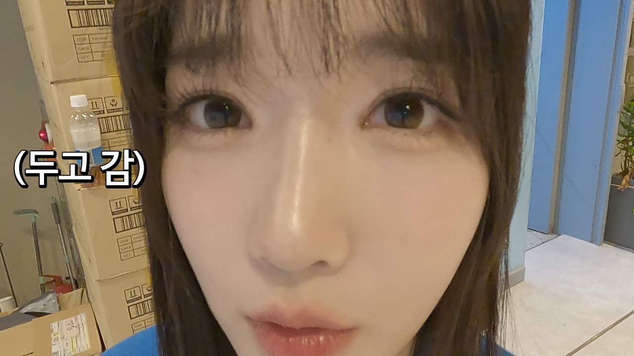 멤버가 24명이라 어떠냐구요? (Vlog, 트리플에스)
