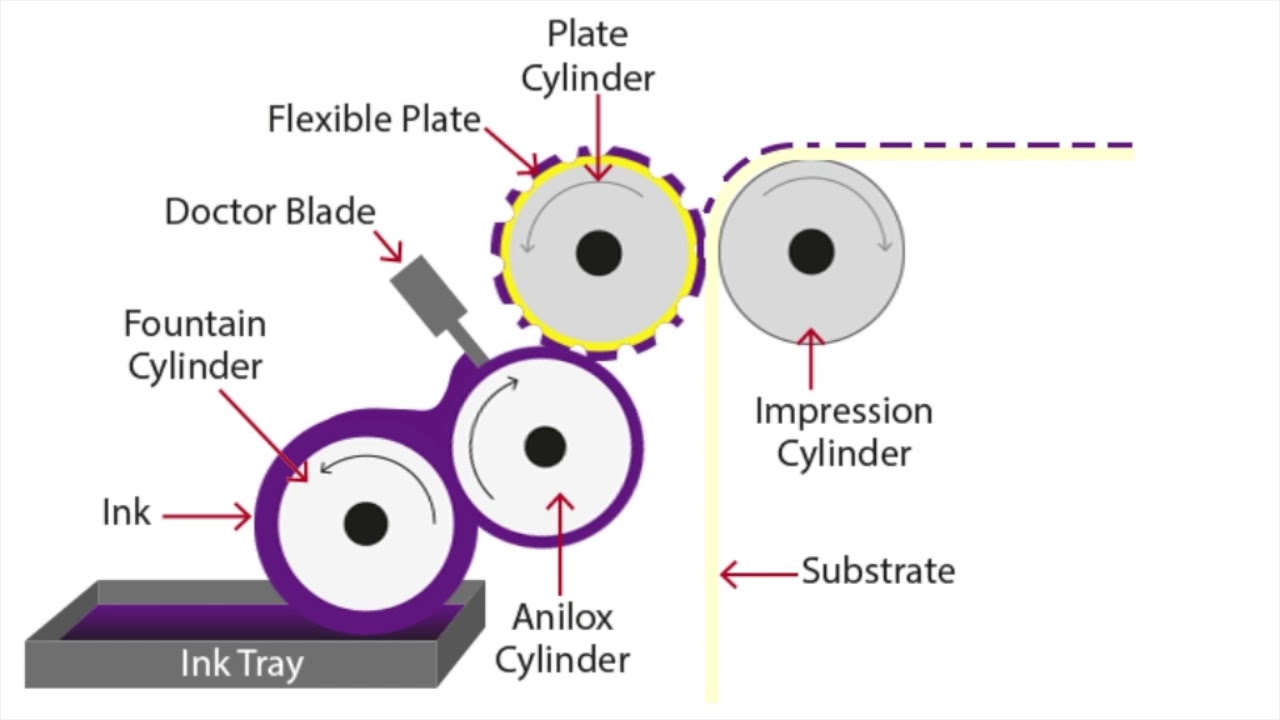 Flexographic Printing Explained