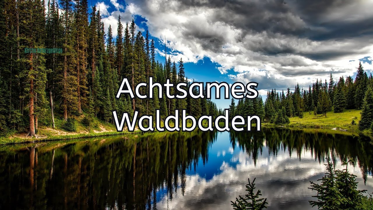 Waldbaden - Was ist Achtsamkeit