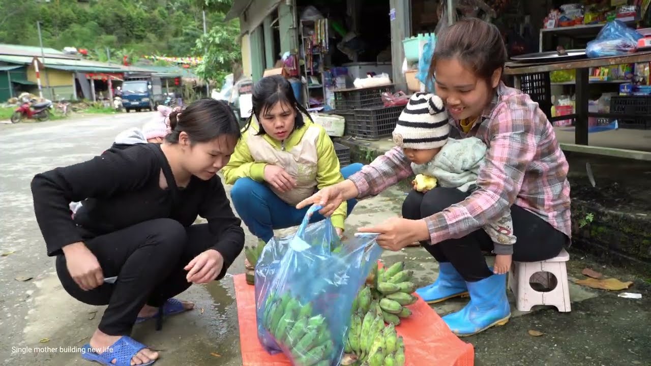 Harvesting giant bananas with my daughter to sell - Taking care of ducks | Daily life