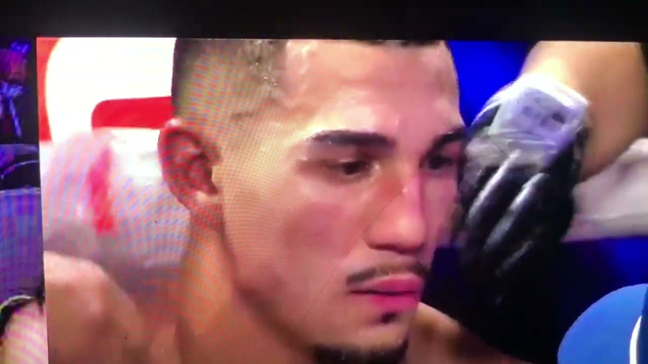 Teofimo Lopez vs Pedro Campaign / full fight 2022 #worldboxing @TheWorldofBoxing #boxing2022