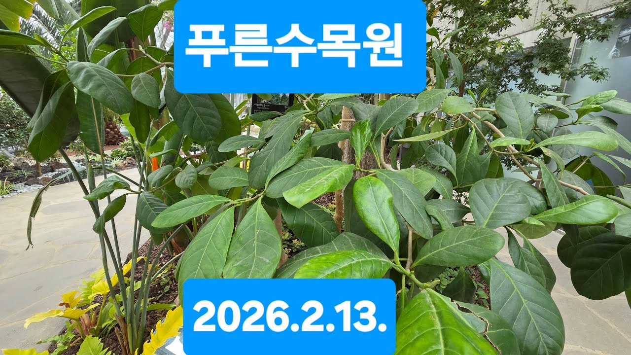 푸른수목원 (2026.2.13)