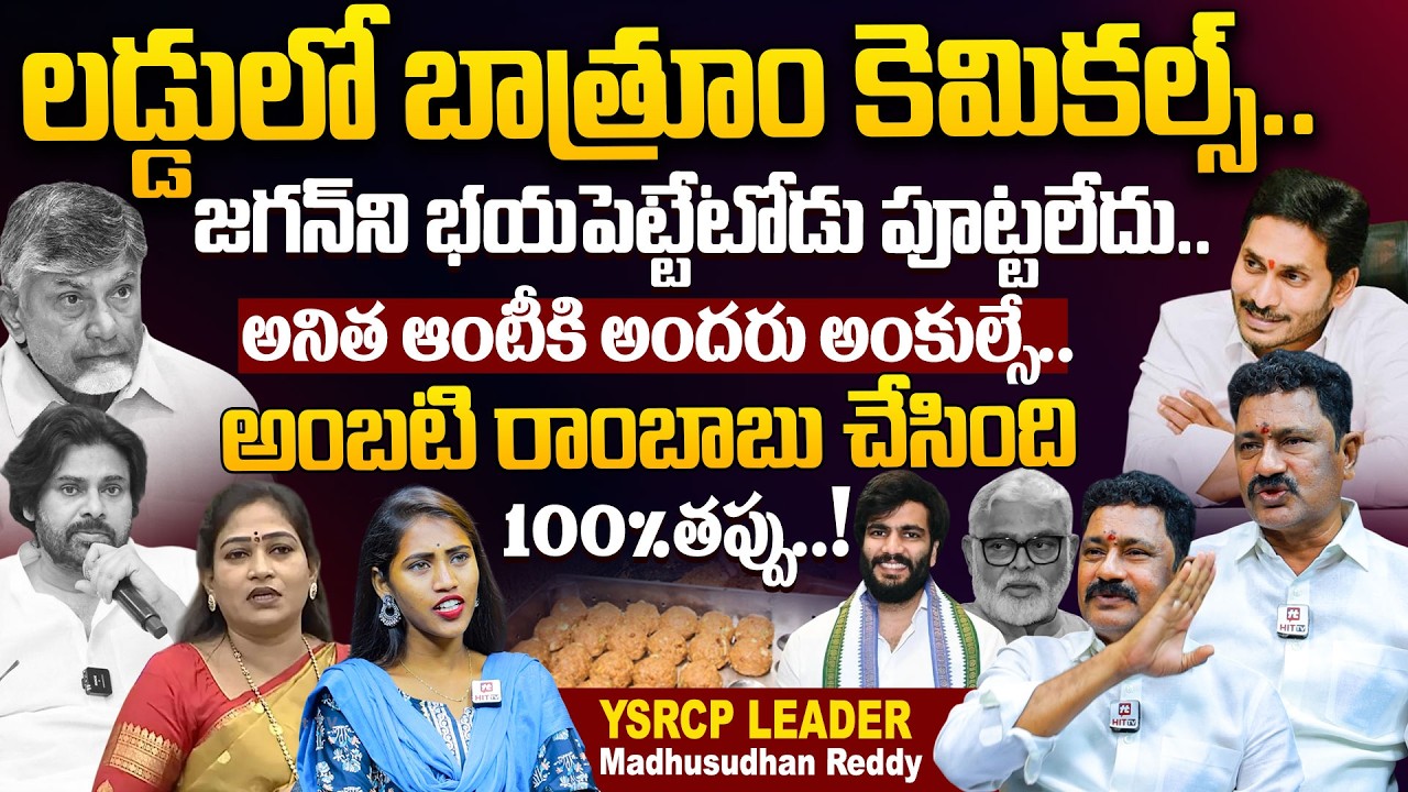 YCP Leader Madhusudhan Reddy About Tirumala Laddu Adulterated Ghee Case And Ambati Rambabu Comments