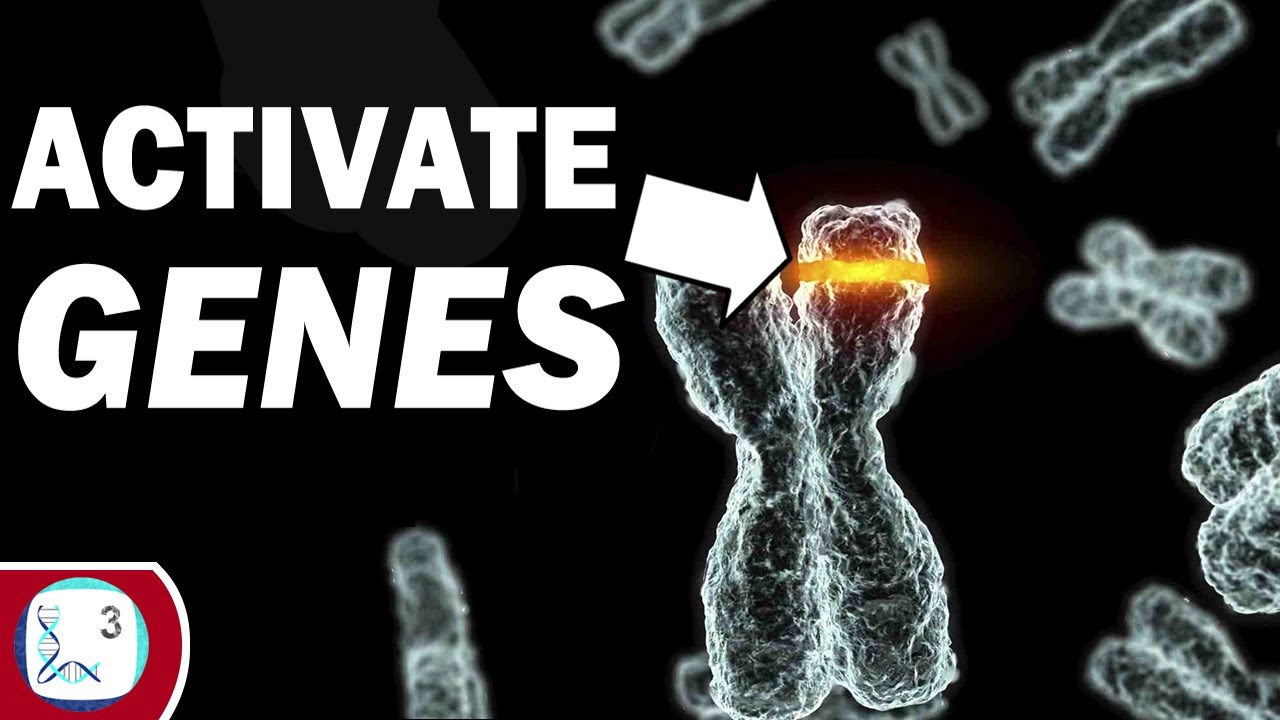 How Epigenetics Helps Us To Cure Diseases