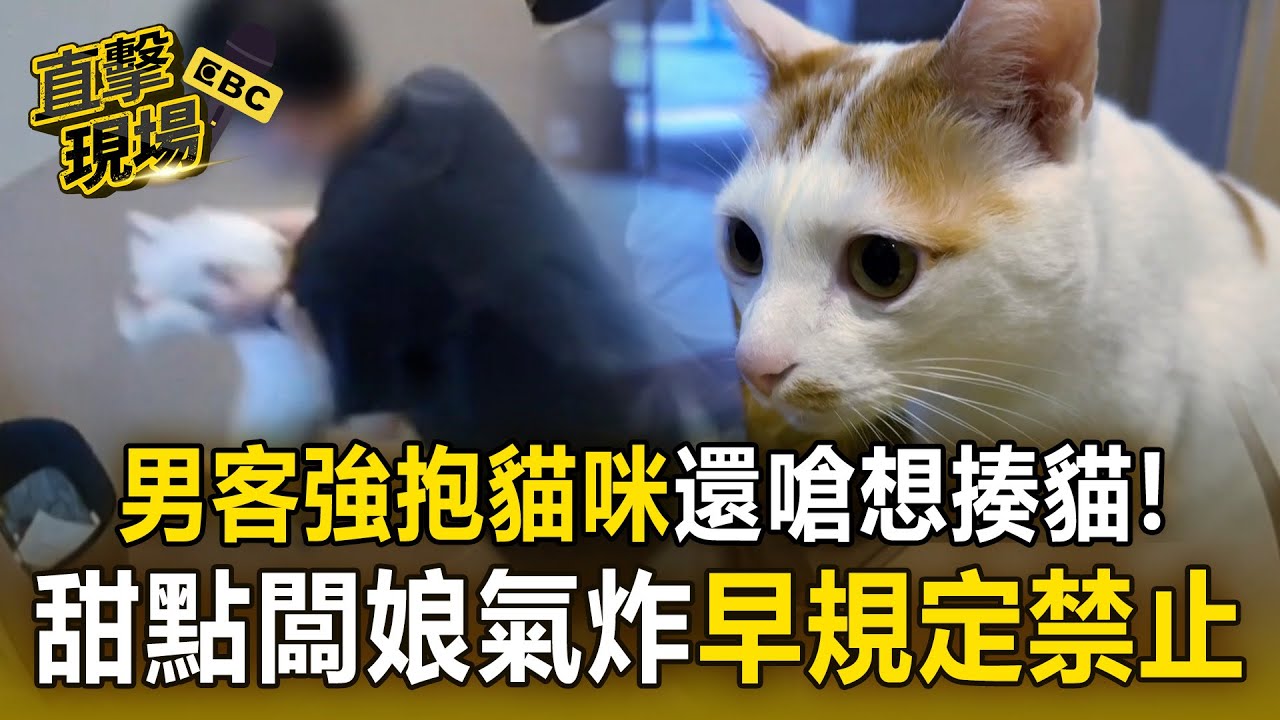 男客無視店規「強抱貓咪」還嗆想揍貓！甜點闆娘氣炸「早規定禁止」！【直擊現場】