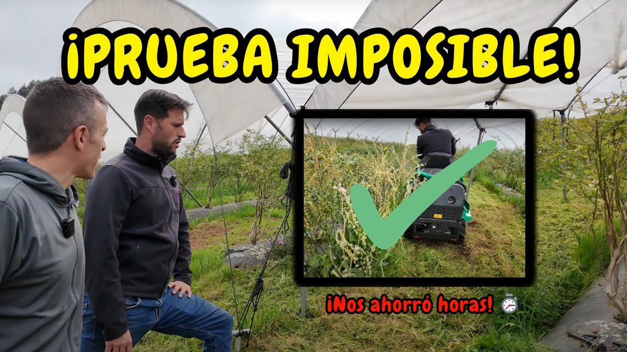 🚜 OREC RM60W a prueba en terreno salvaje: ¿La desbrozadora definitiva para viñedos y frutos rojos? 🔥