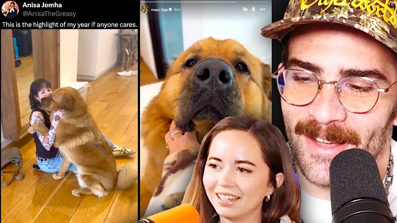 Hasan's Dog Kaya Gets Spoiled By Guests | HasanAbi Reacts (Ft. Maya Higa)