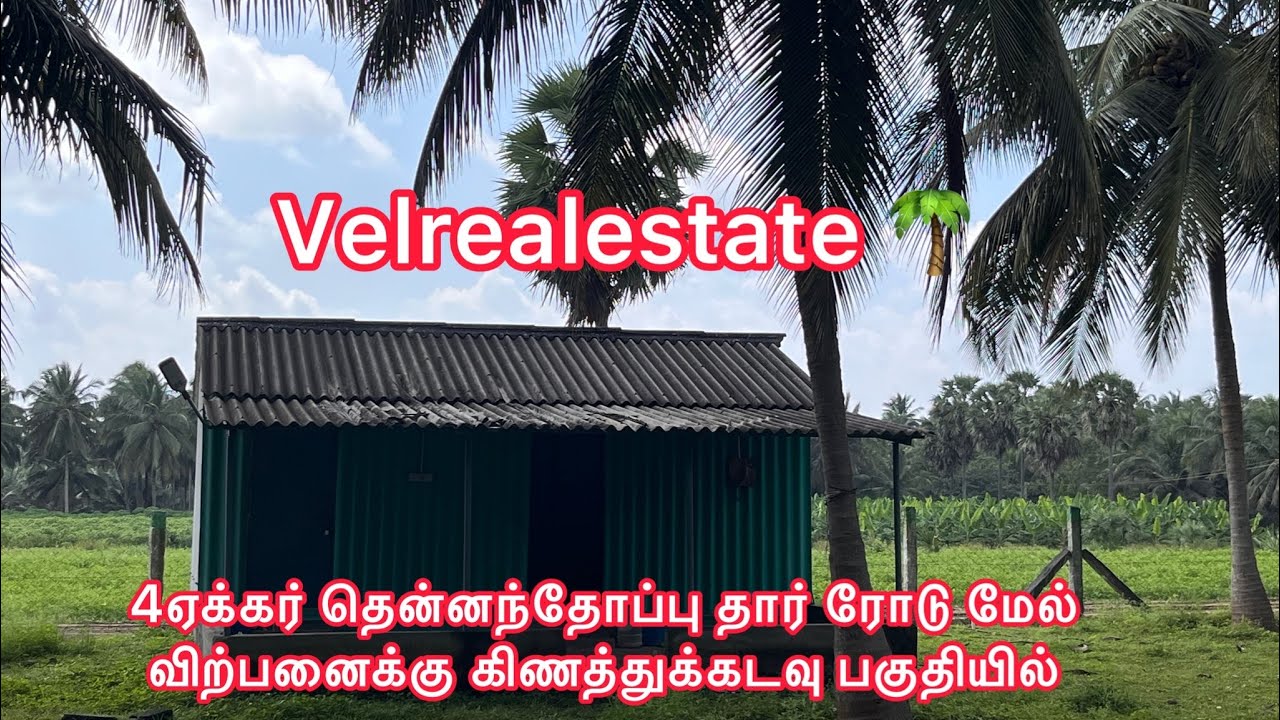 4ஏக்கர் தென்னந்தோப்பு 🌴தார் ரோடு 🛣️மேல் விற்பனைக்கு கிணத்துக்கடவு பகுதியில்📍