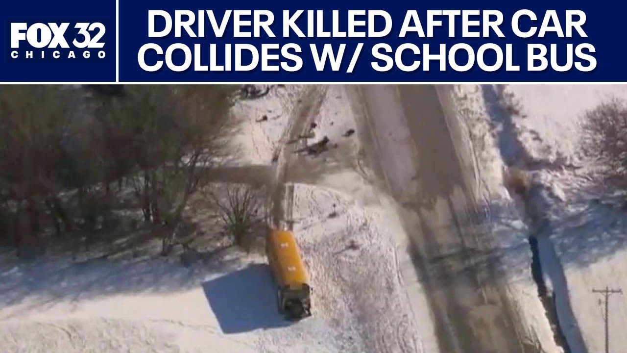 Driver killed after car collides with school bus in Will County