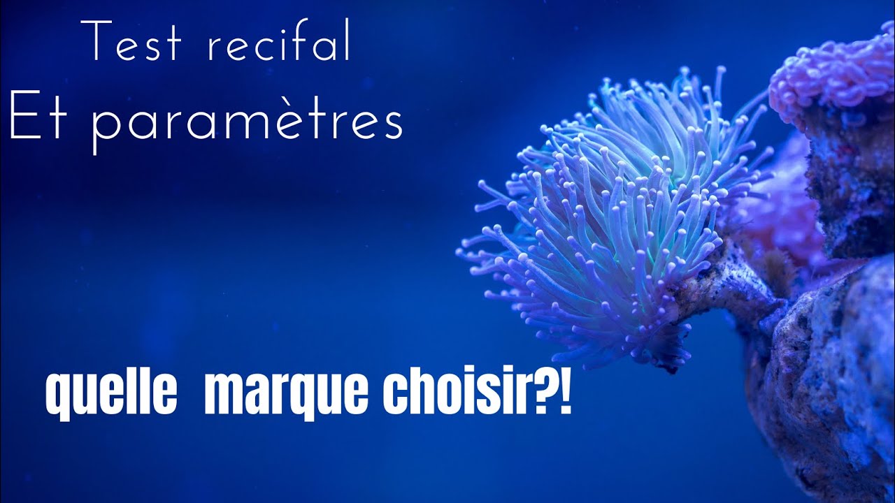 l'importance des marques des test!Salifert Red sea ICP?Pourquoi tester nos paramètre recifal
