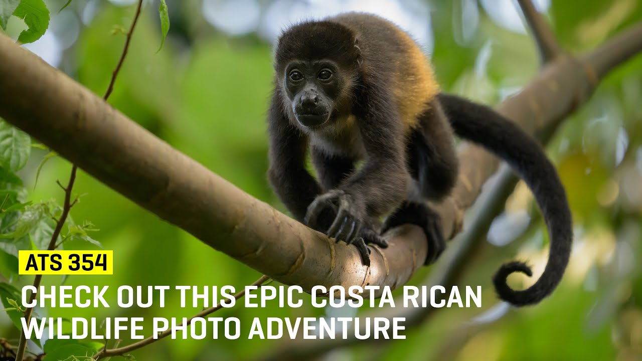 Check Out This Epic Costa Rica Photo Adventure (ATS 354)