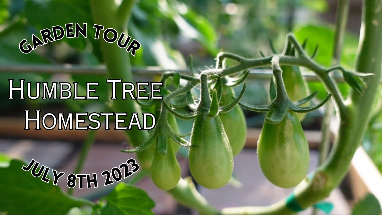 Garden Tour Week 2 2023