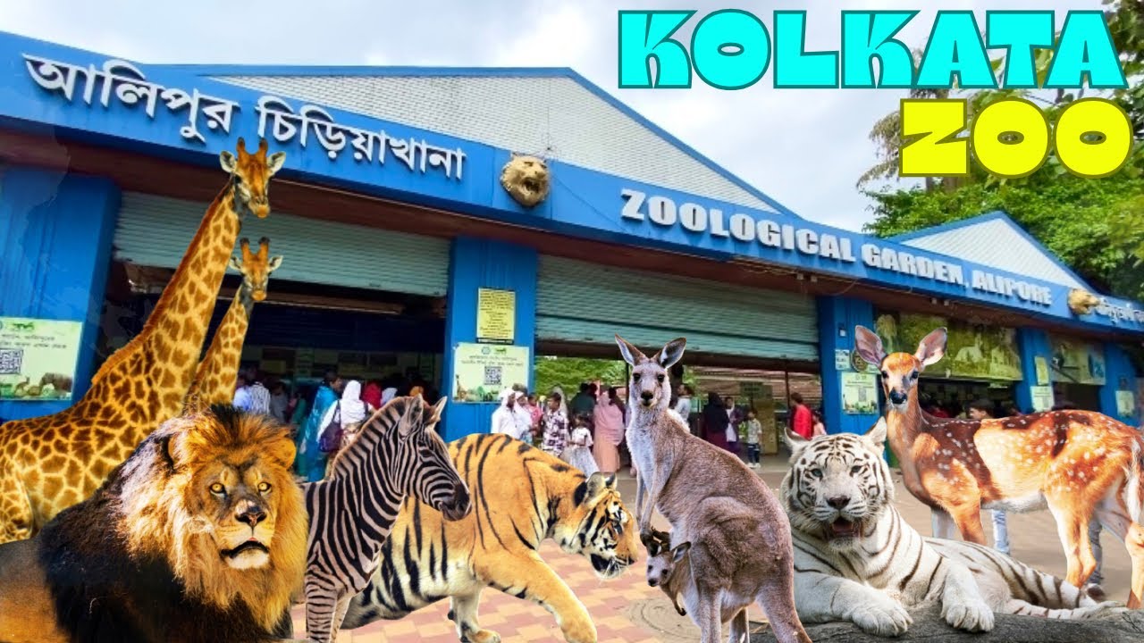 Kolkata Zoo || Alipore Zoo Kolkata || कोलकाता का चिड़ियाघर - Alipore Zoo Vlog