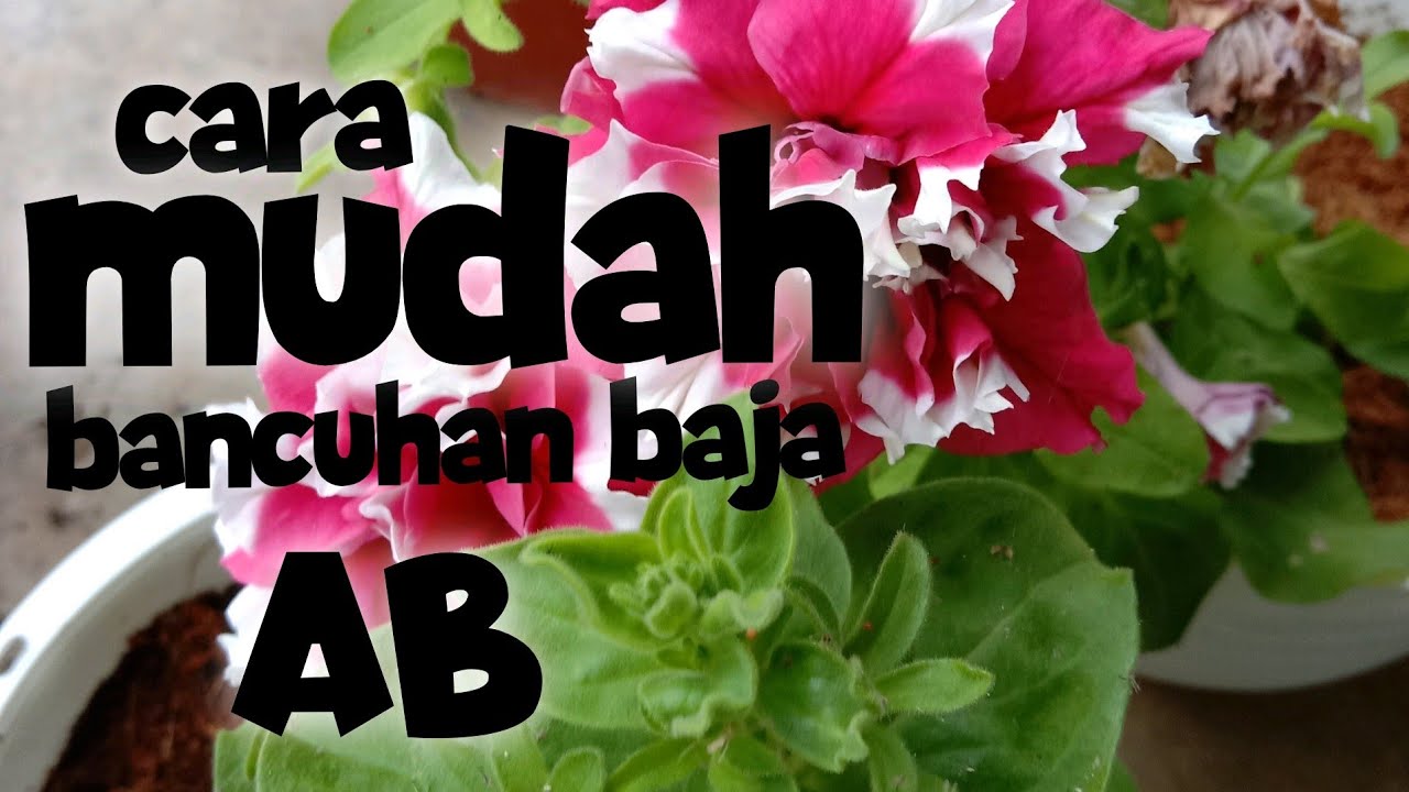 Cara mudah bancuhan baja AB sebelum digunakan pada pokok.
