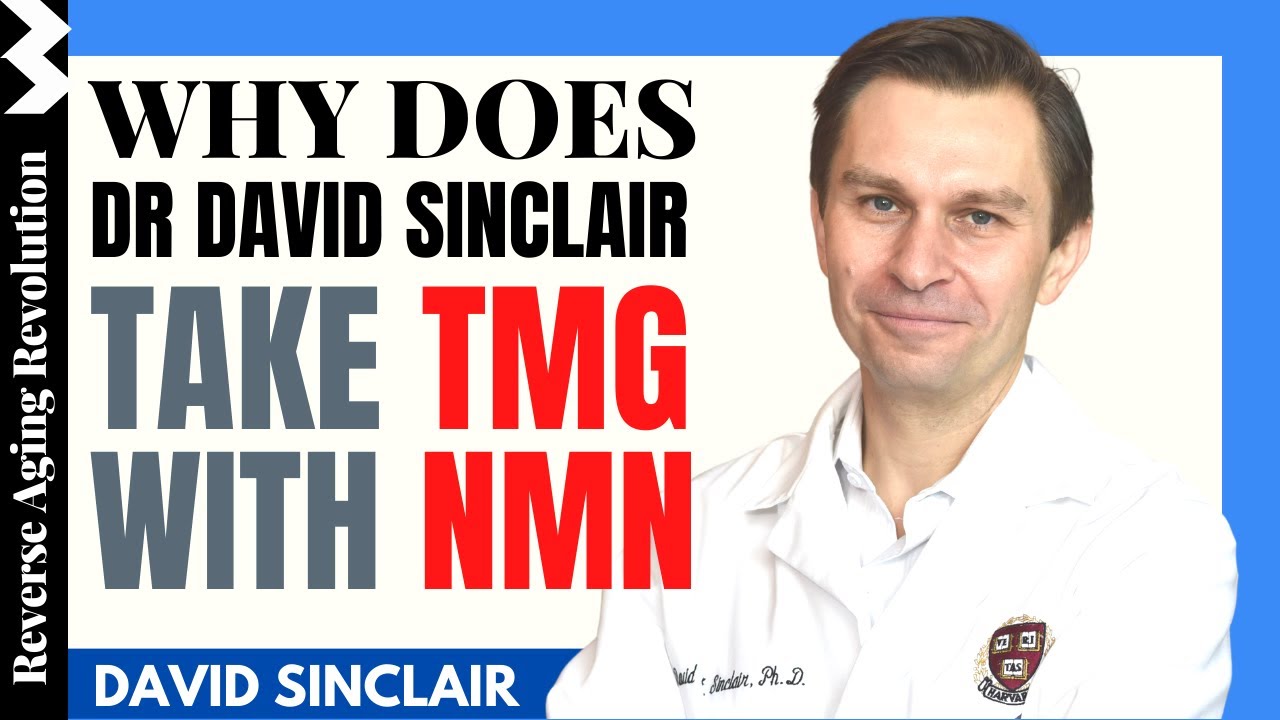 Why Dr David Sinclair Takes TMG With NMN | Dr David Sinclair Interview Clips