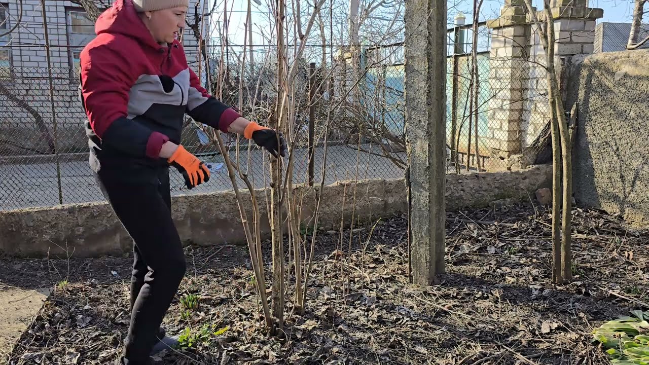 Глаза боятся, руки делают) Дача 35 соток слишком много...