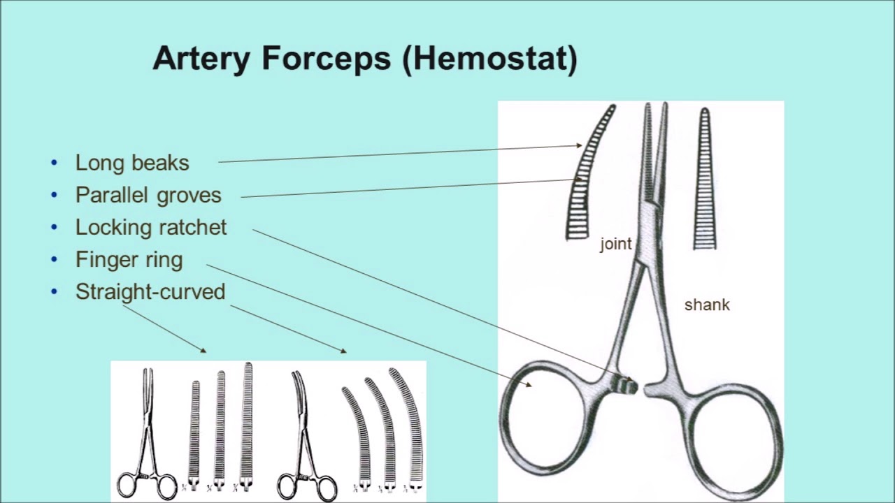 Difference Between the Needle Holder and the Artery Forceps (Hemostat)