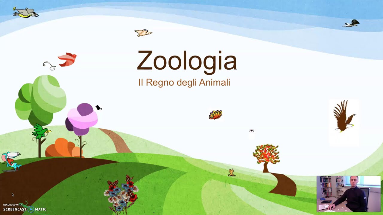 Zoologia - Il Regno degli Animali