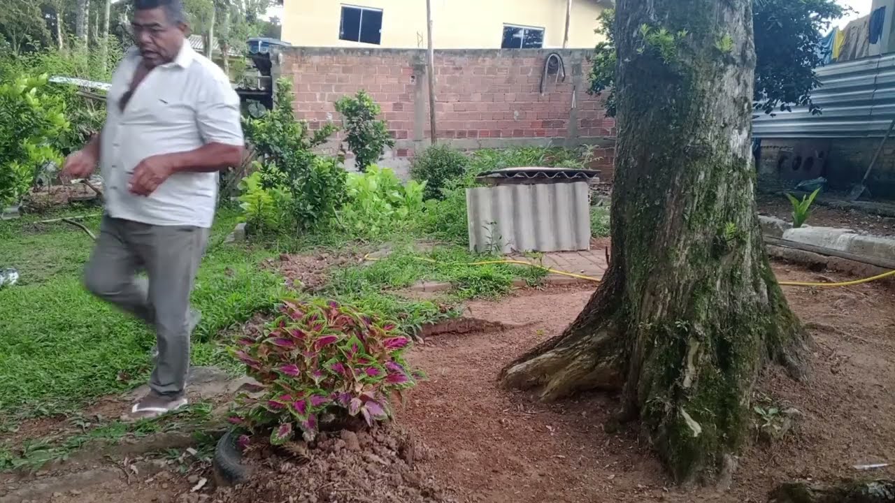Amanhecer na roça  comendo um pãozinho com  fatias de queijo 