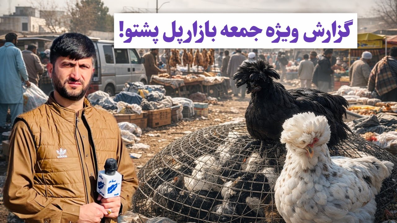 جمعه بازار هرات گزارش جالب و دیدنی 