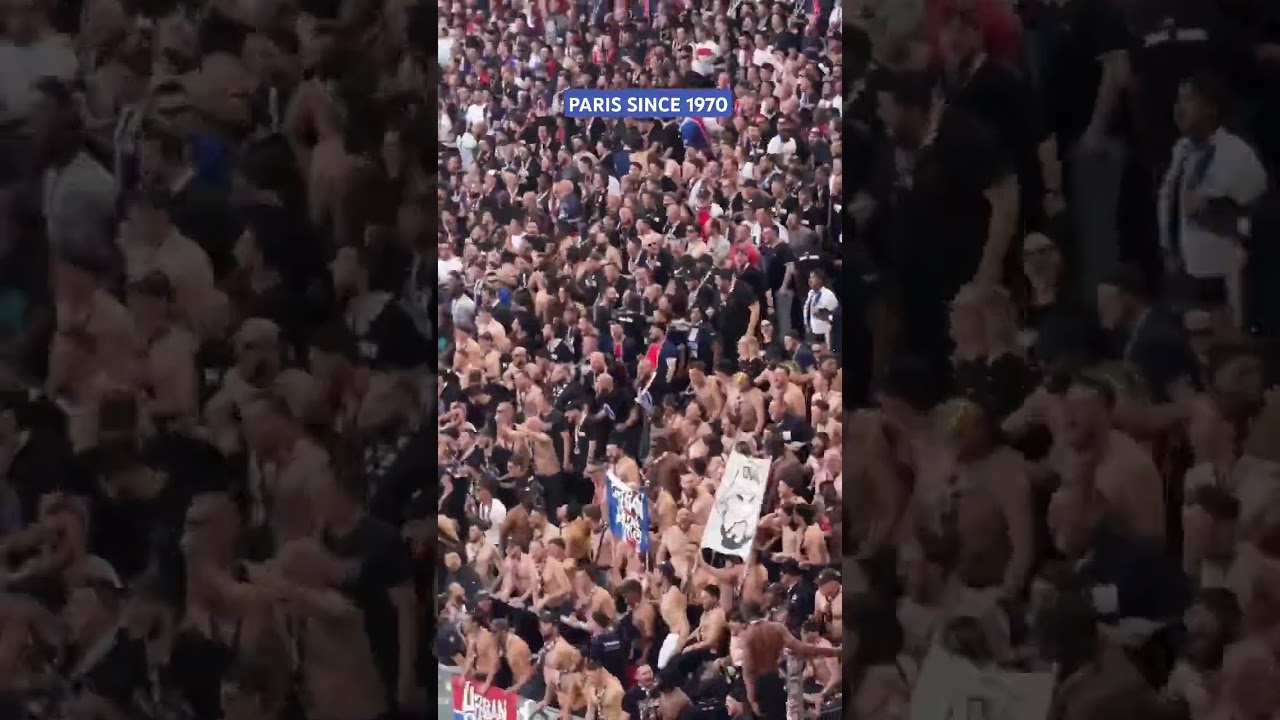 AMBIANCE DE DINGUE DORTMUND/PSG #ultras #collectifultrasparis #psg #football #uefa #signalidunapark