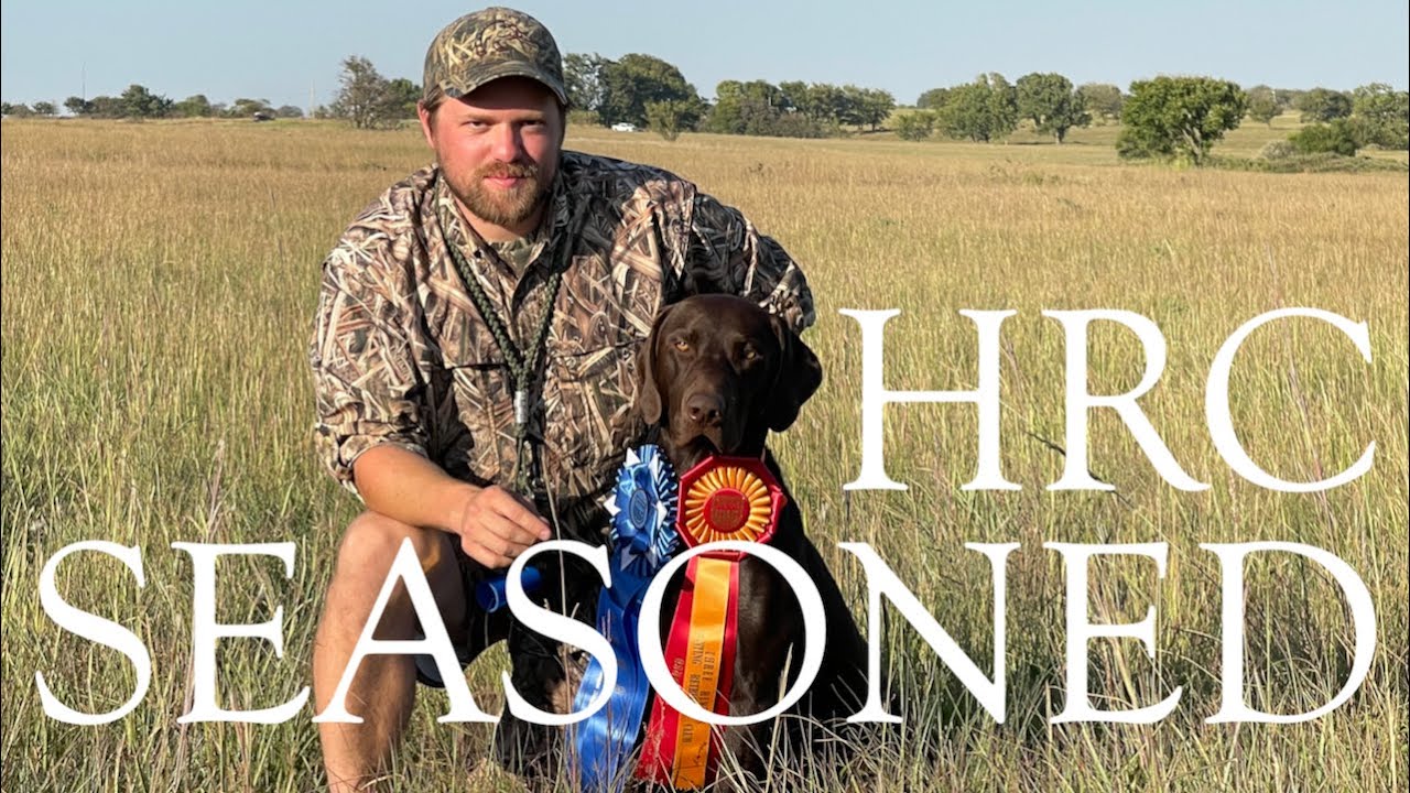 Apollo | HRC Seasoned Hunt Test | Third Pass