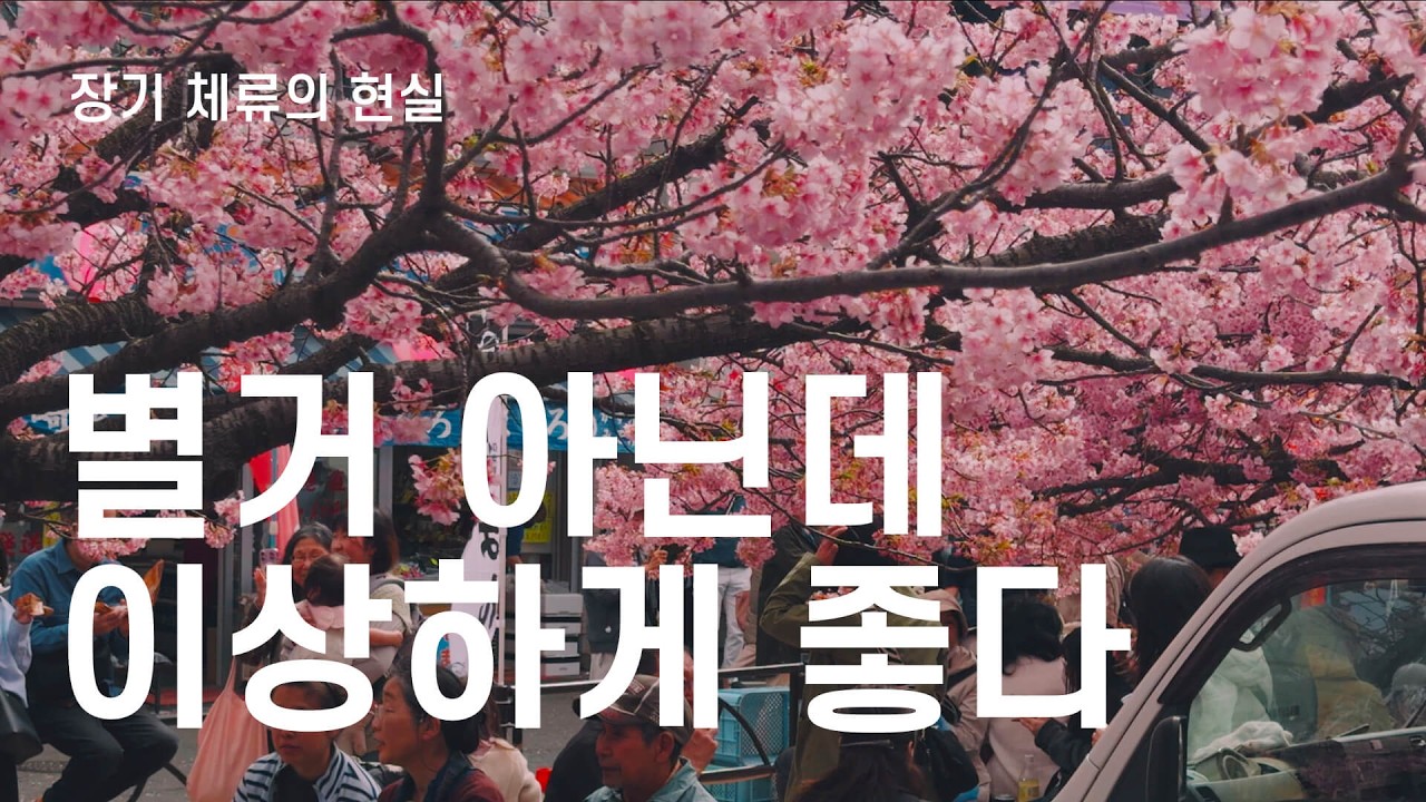 일본에 남은 사람이 굳이 말 안 하는 만족하는 순간  | 일본 30대 직장인