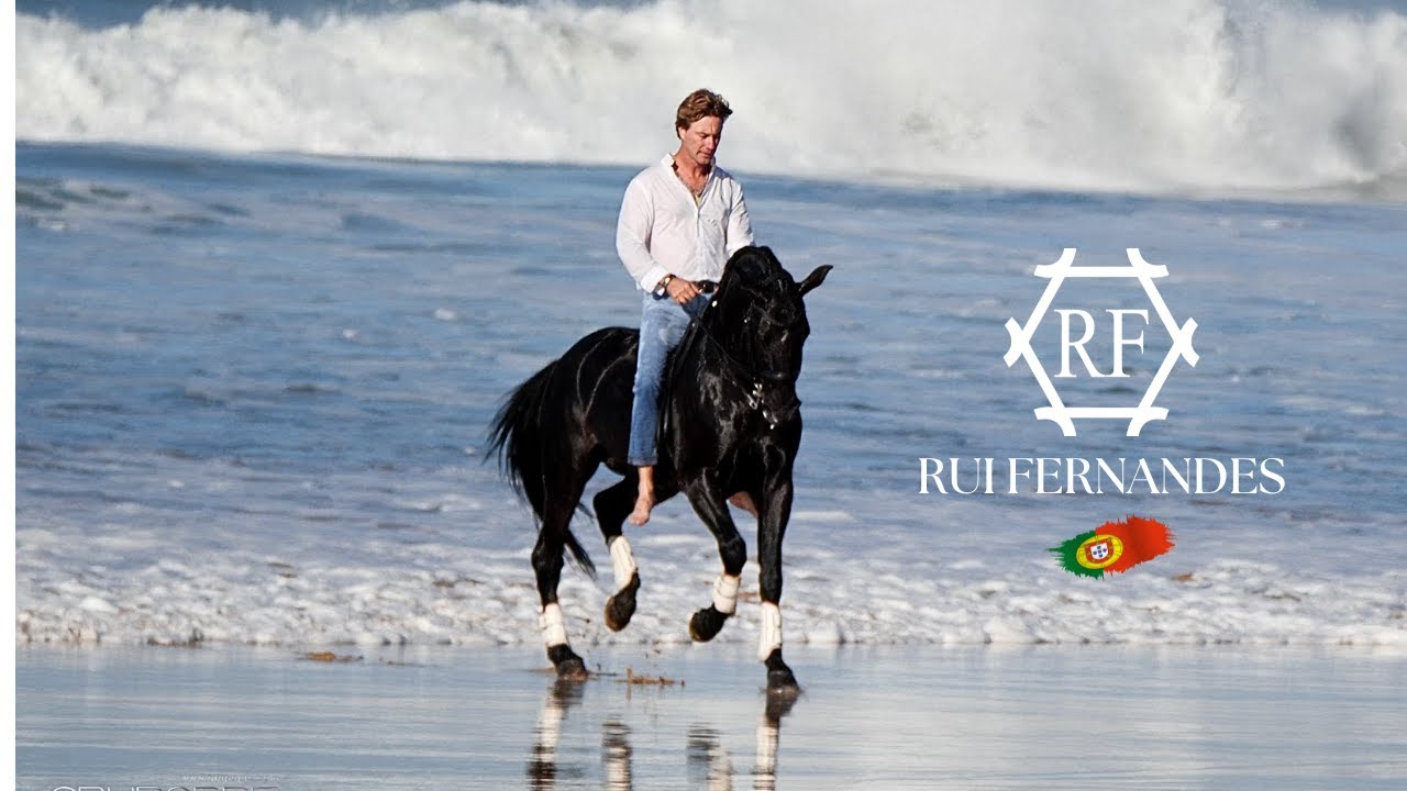 RUI FERNANDES  Y CABALLO LUSITANO EN LA PLAYA (PORTUGAL)