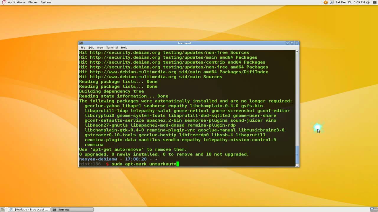 Apt-Mark - Change Autoremove Status of Package - Debian