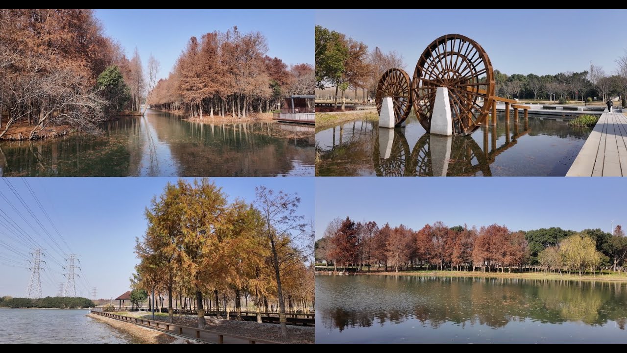 上海外环绿道康桥段冬跑 4K virtual run Hengmian 跑步机风景vlog 沔青公园 横沔公园 汤巷体育公园 上海跑步路线 260110 citywalk