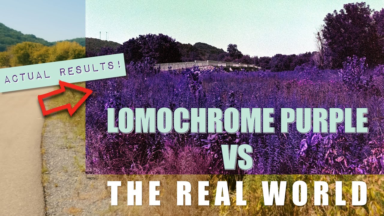 LomoChrome PURPLE | know this before you shoot!