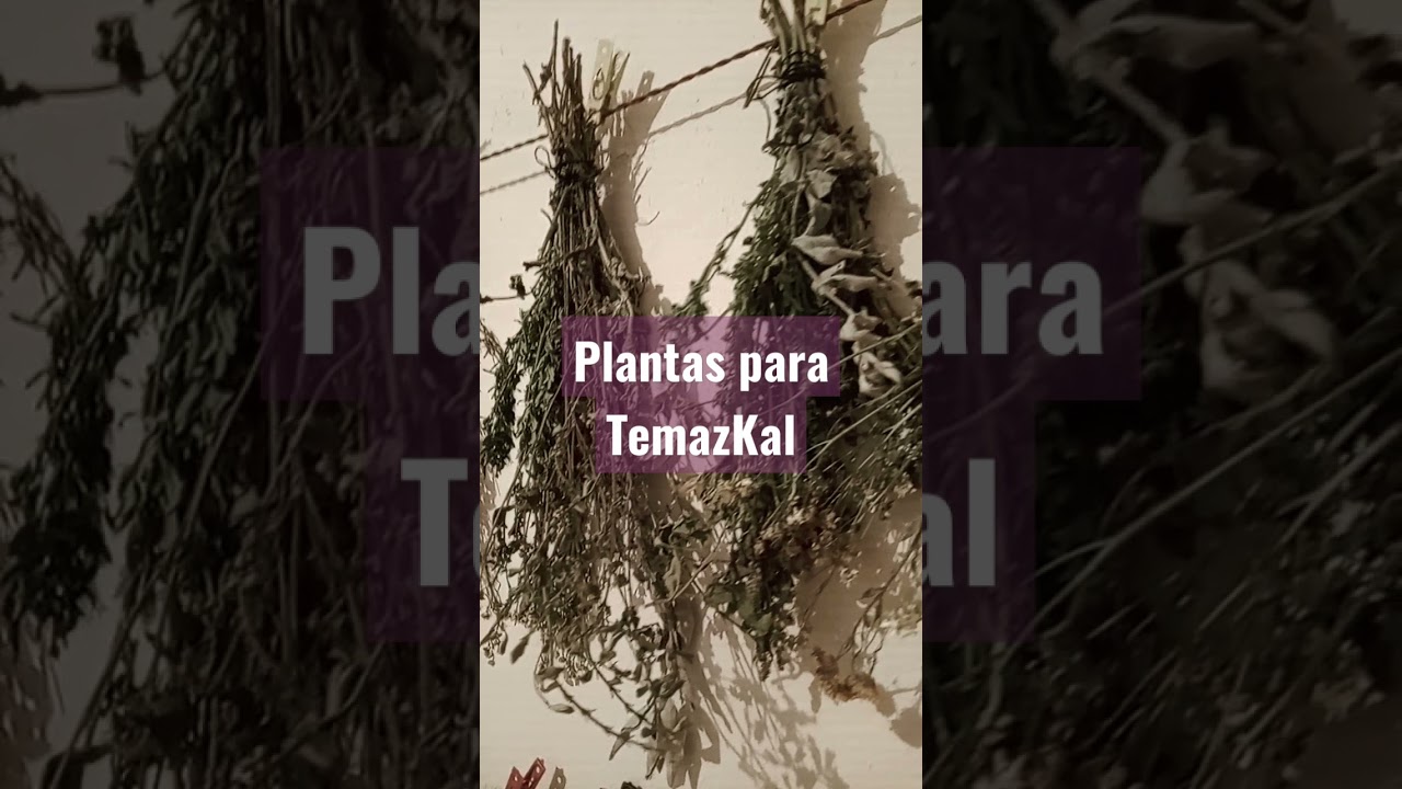 Plantas para TemazKal