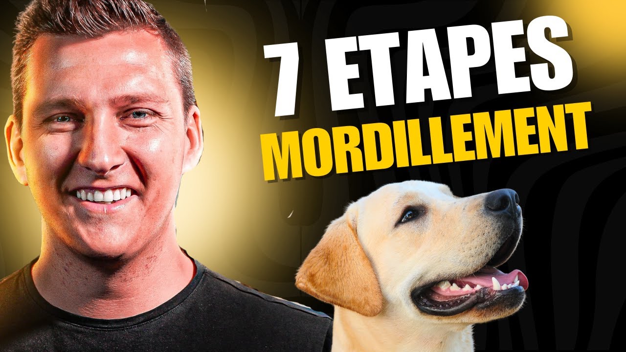 Les 7 Étapes Pour Arrêter Les Mordillements Du Chiot (Le Guilde Ultime)