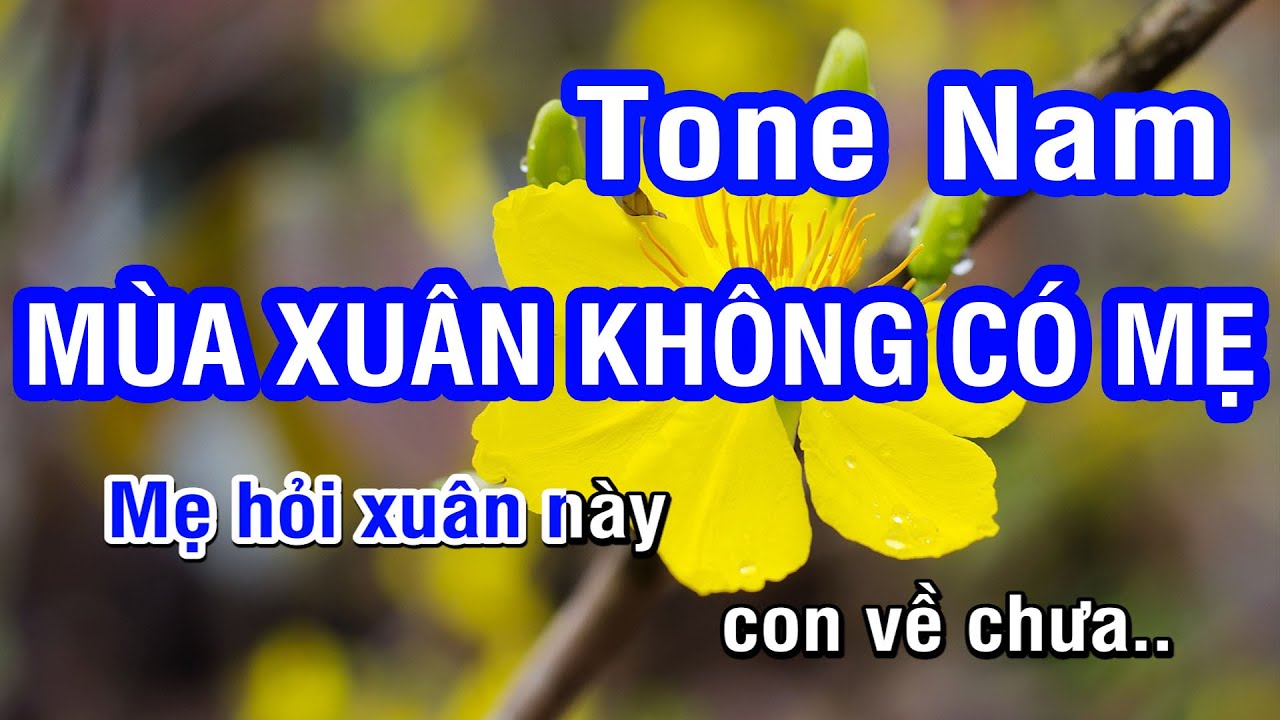 Karaoke Mùa Xuân Không Có Mẹ Tone Nam | Nhan KTV