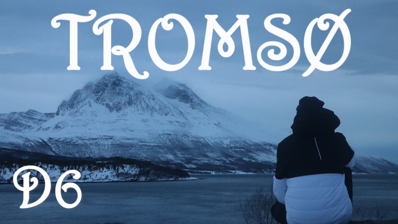 Noorse roadtrip met een onverwachte ontmoeting 🦌/ Tromso Deel #6