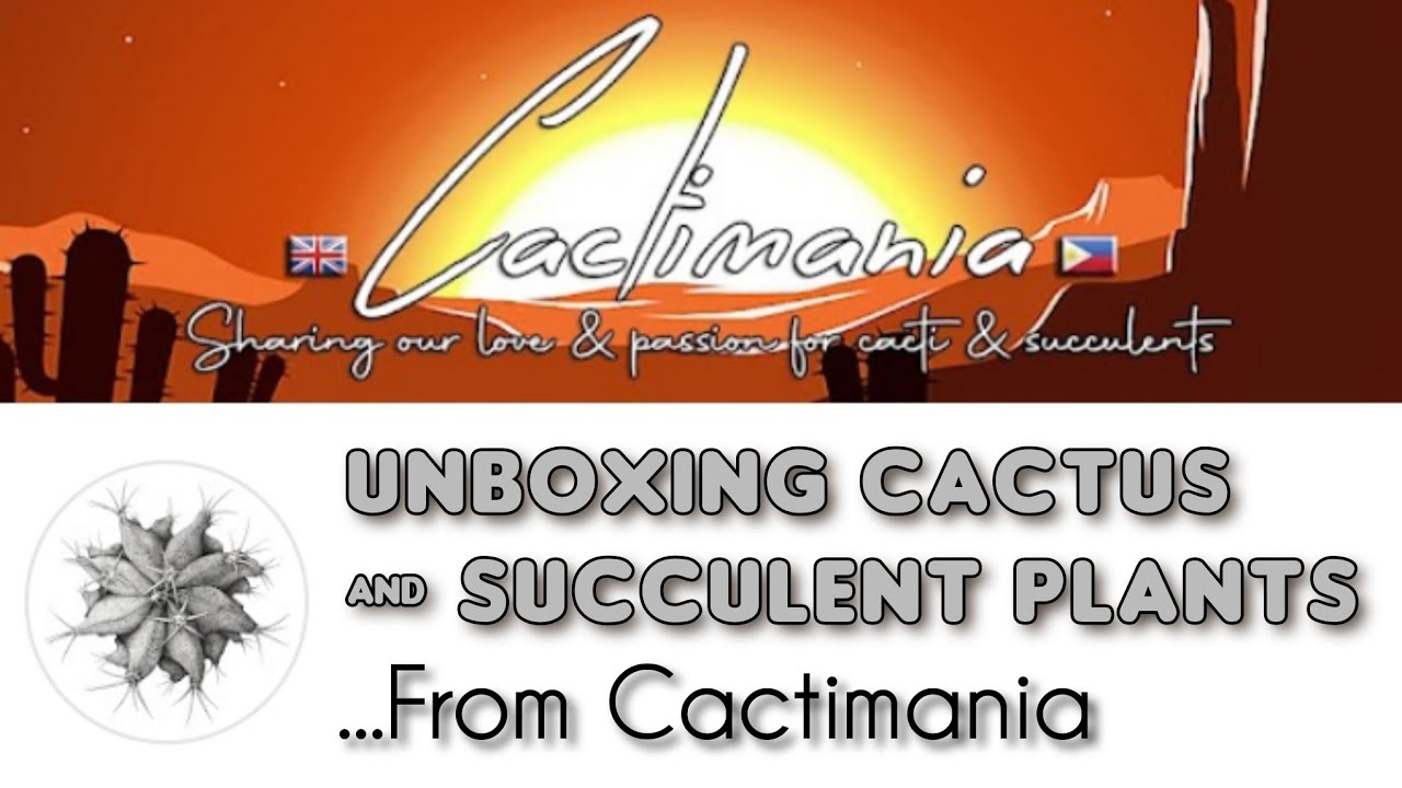 UNBOXING Cactus & Succulent Plants! From CACTIMANIA | April 2021