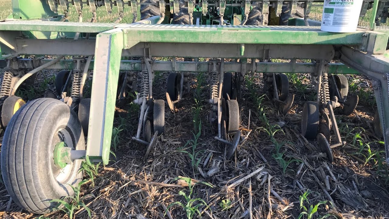 Early Interseeding of Cover Crops for Grazing - Virtual Field Day