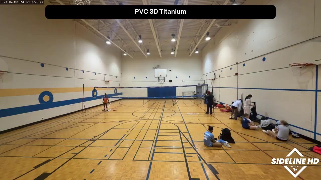 PVC 3D Titanium (2026.02.11)