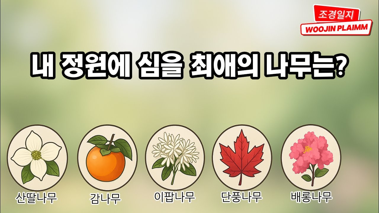 마당에 단 한 그루, 정답은? 최애 정원수 TOP5.  정원수 추천, 마당나무