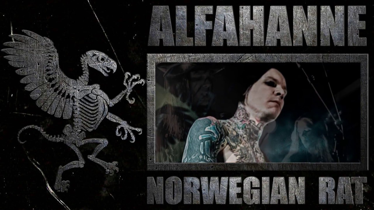 Alfahanne - Det Nya Svarta (Det Nya Svarta - 2017, Indie Recordings)