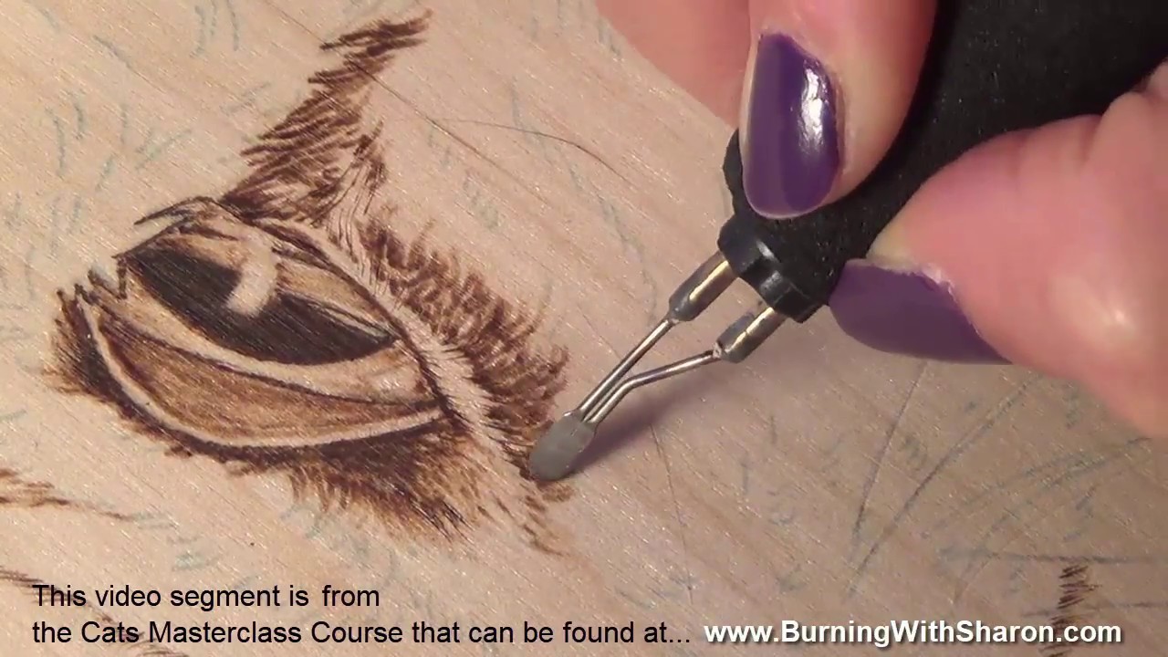 Pyrography: How to Woodburn Realistic Cat Fur with Layering
